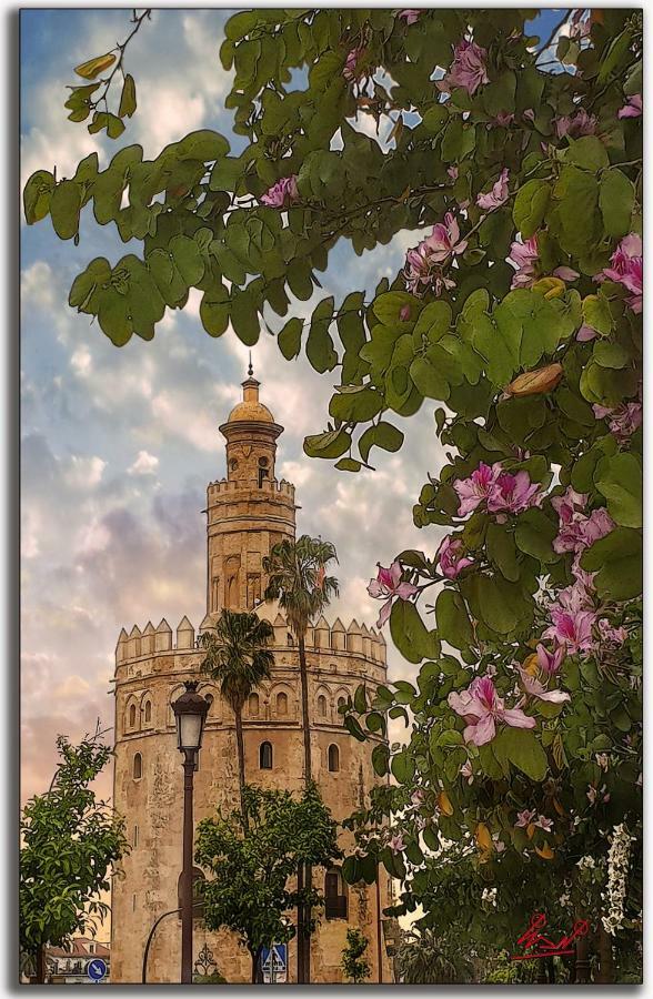Rincon De Nati Triana Lägenhet Sevilla Exteriör bild